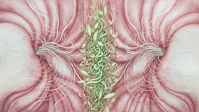 MARIT VICTORIA WULFF ANDREASSEN