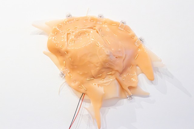Yidi Wang