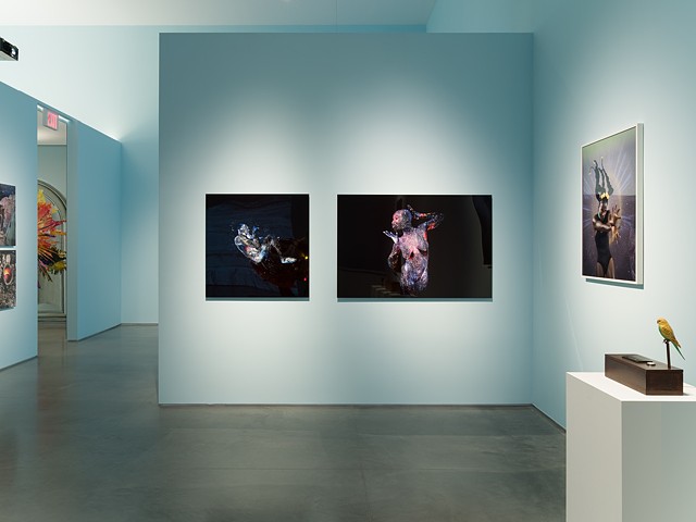 installation views of Utopian Imagination. images for Ford Foundation Gallery by Sebastian Bach 