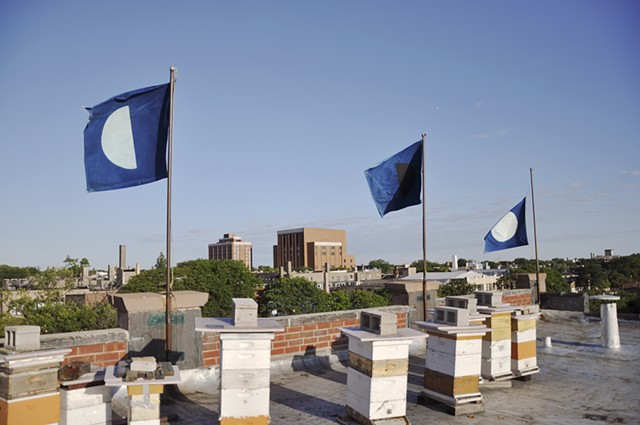 cyanotype flags