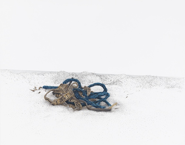 Blue Rope with Measuring Tape and Seaweed