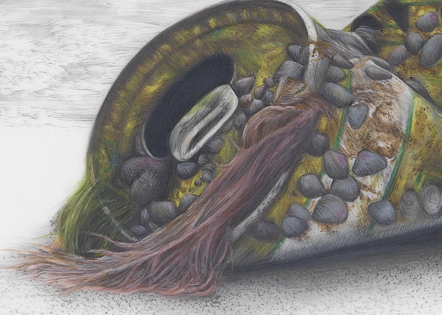 Detail from:
Beer Can with Algae and Shells
