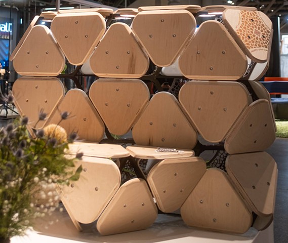 Photography by Shanze Shahbaz Kazi