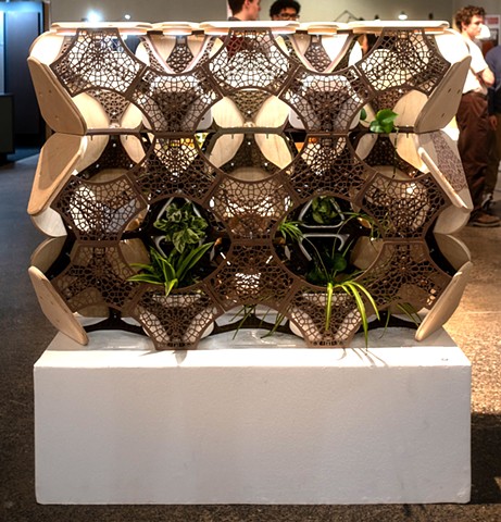 Photography by Shanze Shahbaz Kazi