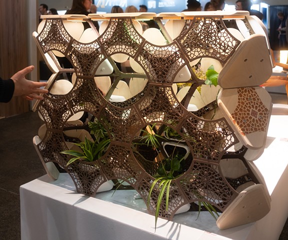 Photography by Shanze Shahbaz Kazi