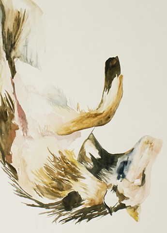 Falling Wolf, Detail