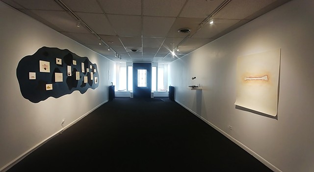 Exhibition installation views