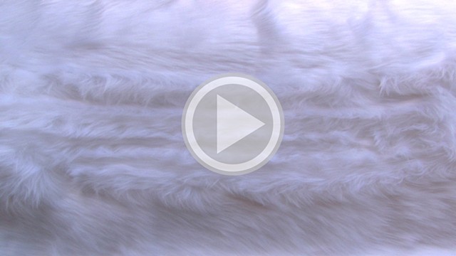 Petting Fur