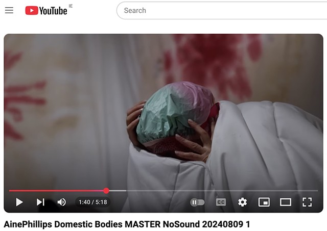 Domestic Bodies video documentation