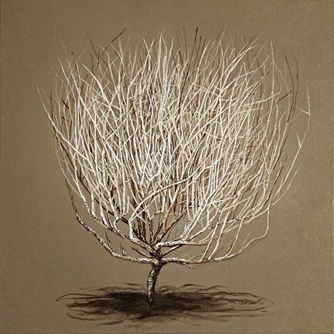 Sticks and Branches 6 - Tumbleweed
