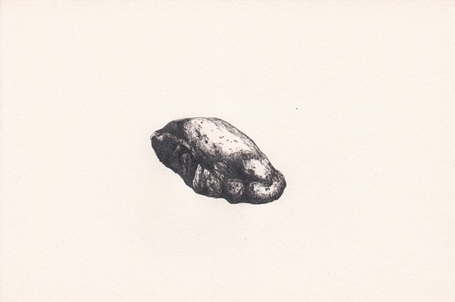 Rock Drawing 51