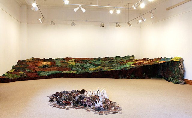 installation at the Nemeth Art Center in July 2013