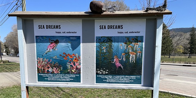 Sea Dreams posters installation