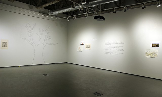 Installation shot, Sons and Daughters of Oddleifur