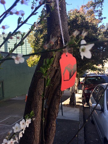 Plum Tree in Spring, San Francisco