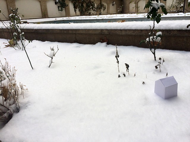 Goli's backyard, Tehran, Iran.