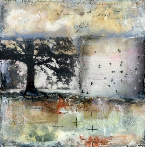 Angela Petsis; Encaustic mixed media; encaustic collage; encaustic; encaustic painting; collage; mixed media painting; mixed media artist; nature art