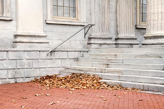 Corner Leaves