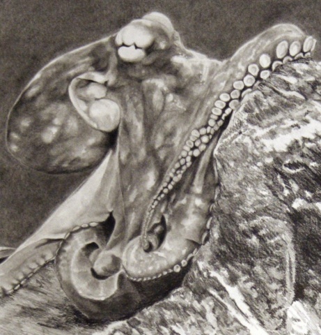 The Mollusks Killed Mallory (detail)