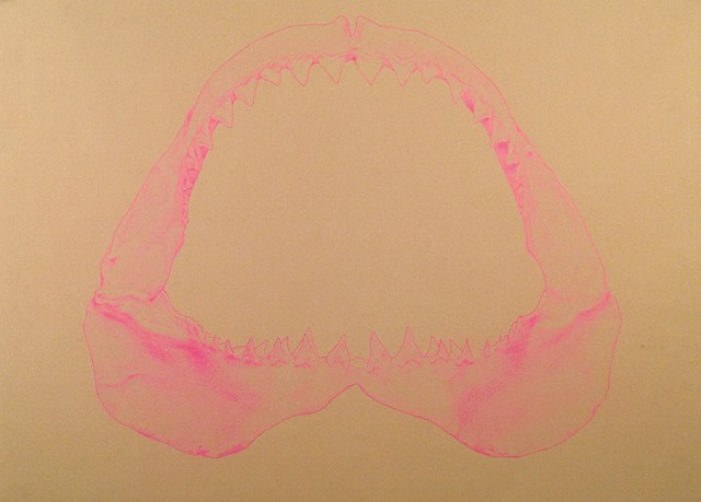 neon pink shark jaw