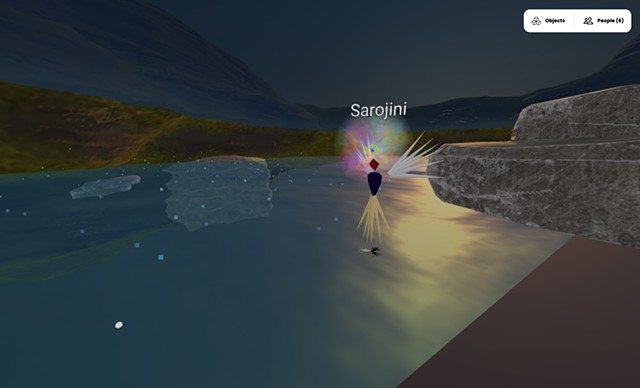 Sarojini Lewis Walkthrough Screenshot 2