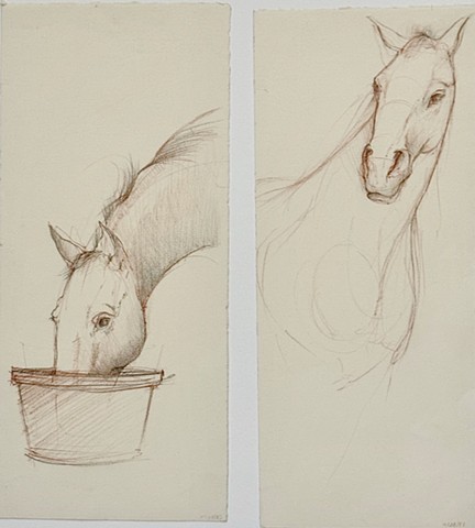 Horses