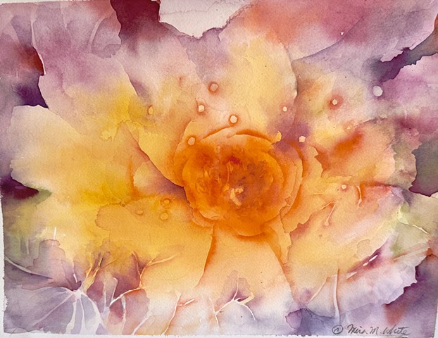 Floral Dream