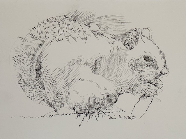 Chipmunk