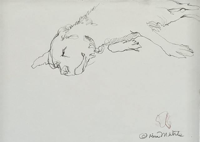 Sleeping Dog in France