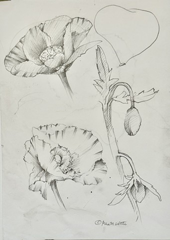 flower study