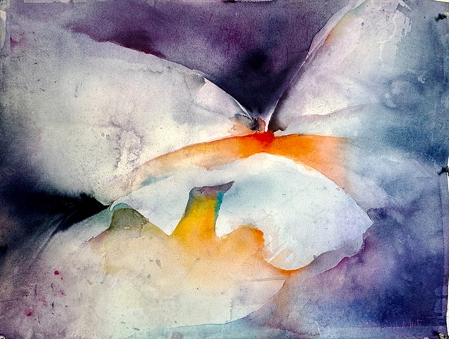 Winged Rose