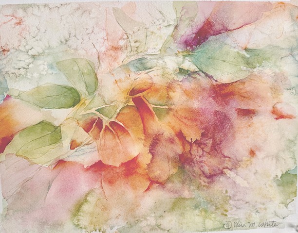 Garden study