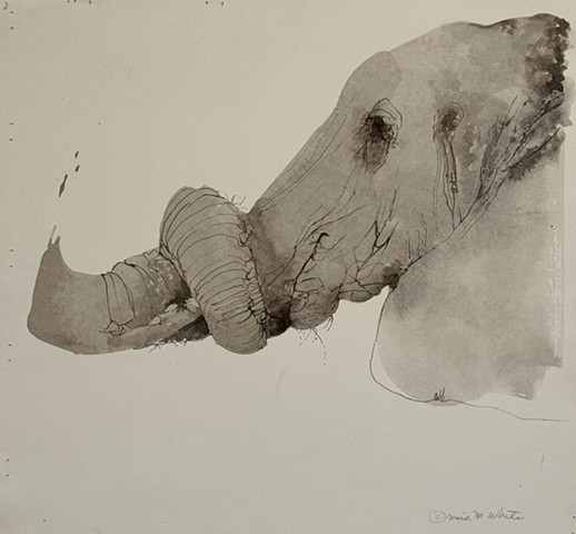 elephant