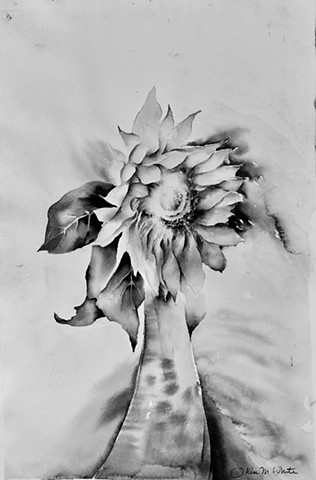 Monochrome Flower Study