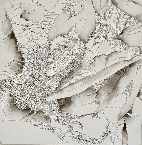lizard