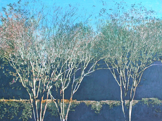 mixed media and oil painting photo transfer trees by North Carolina American painter Richard Garrison