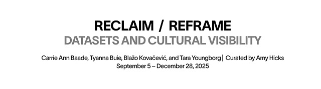 Reclaim / Reframe: Datasets and Cultural Visibility 