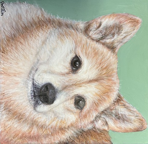 Hand painted Corgi dog portrait on green background, detailed custom pet painting on canvas by Cleveland Ohio artist.