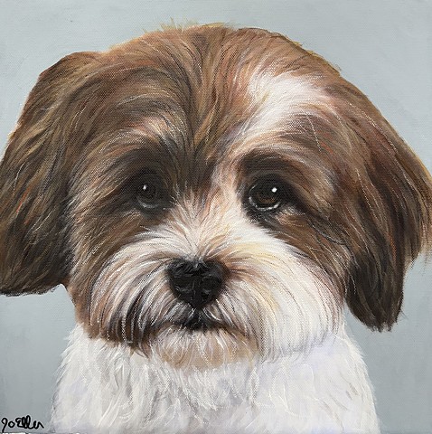 Brown and white Shih Tzu custom pet portrait painting, realistic dog artwork on light gray background, handcrafted pet painting in Cleveland Ohio.