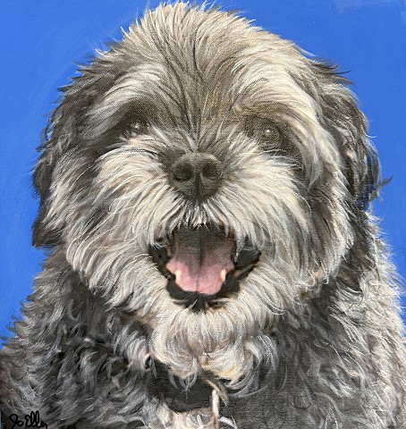 Smiling gray and black Shih Tzu dog portrait painting with vibrant blue background, custom pet artwork on canvas by Cleveland Ohio pet artist.
