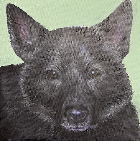 Black German Shepherd dog portrait painting on soft green background, realistic custom pet artwork by Ohio pet portrait artist.