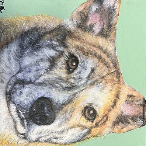 Realistic German Shepherd mix dog portrait painting with expressive eyes, custom pet artwork on soft green background in Cleveland Ohio.
