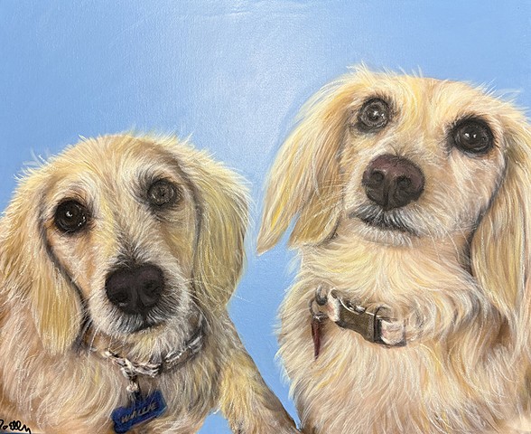 Two Dachshund mix dogs custom pet portrait painting with blue background, realistic double dog artwork by Cleveland Ohio pet portrait painter.