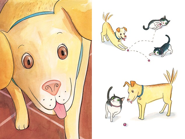 ASPCA Rescue Readers, Lori Froeb, I Am Daisy, cat illustration, dog illustration, Violet Lemay