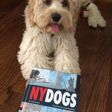 Violet Lemay, NY Dogs, dog with book