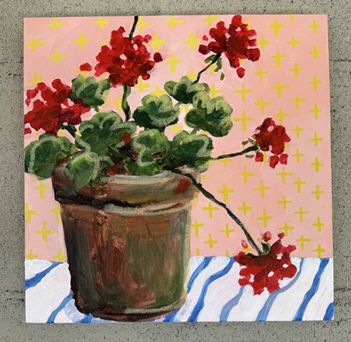 Geraniums in Terra Cotta