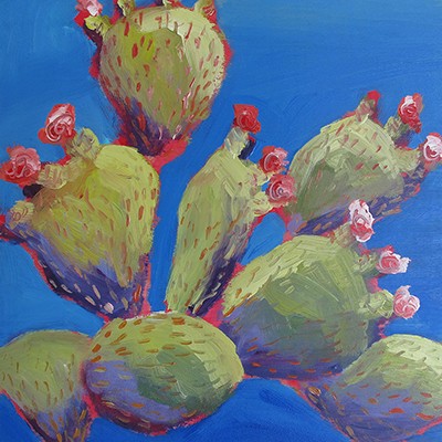 Flowering Cacti Santorini