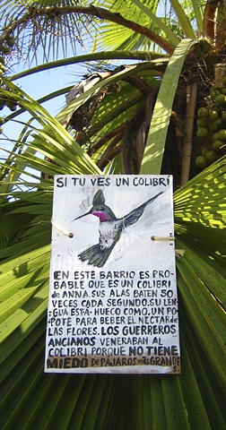 Colibri Sign