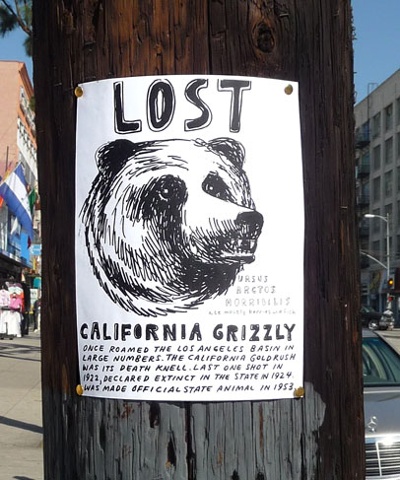 CALIFORNIA GRIZZLY (extirpated)