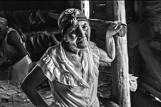 Cuban Cigar Factory Worker 